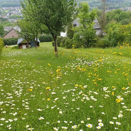Antoine Hébergement de vacances Durbuy
